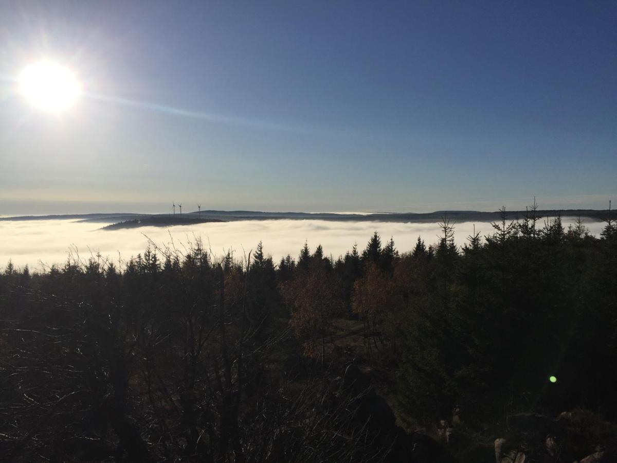 Villa Erzgebirgsholzhaus Am Lugstein Altenberg  Esterno foto