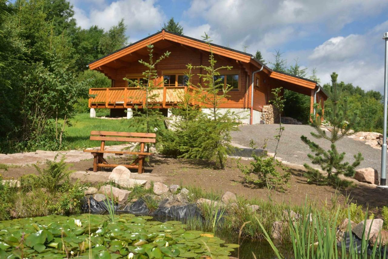 Villa Erzgebirgsholzhaus Am Lugstein Altenberg  Esterno foto